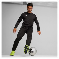 Puma Team Goal Training Pants M 658639 03 (L)