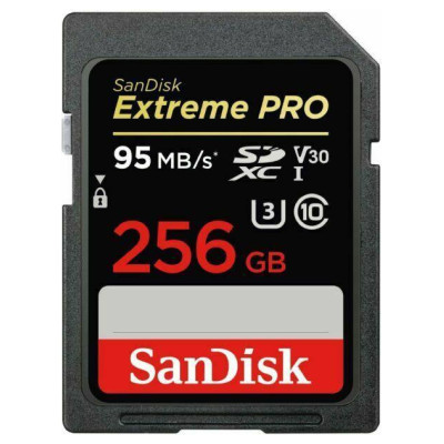 Sandisk MEMORY SDXC 256GB UHS-1/SDSDXXD-256G-GN4IN SANDISK