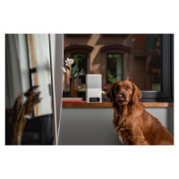 Petcube WRL CAMERA BITES 2 LITE/BL10US PETCUBE