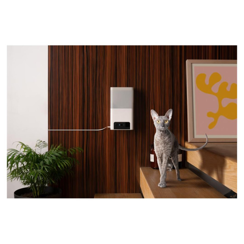 Petcube WRL CAMERA BITES 2 LITE/BL10US PETCUBE