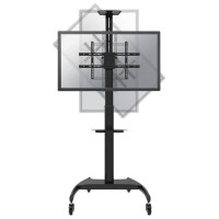 Neomounts TV SET ACC FLOOR STAND BLACK/37-70" PLASMA-M1900E NEOMOUNTS