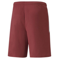 Puma teamLIGA M 704924 09 shorts (S)