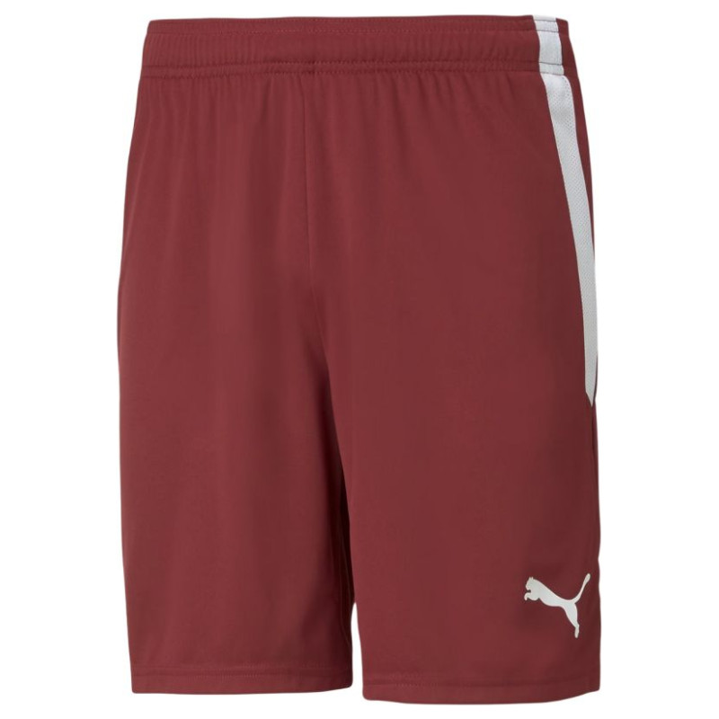 Puma teamLIGA M 704924 09 shorts (S)