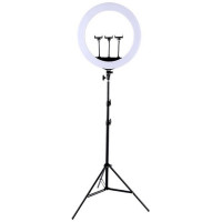 Extradigital LED Ring Lamp 45cm With Desktop Tripod Mount Up To 2.1m