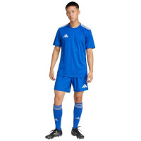 Adidas Tastigo 25 M JN7159 shorts (M)