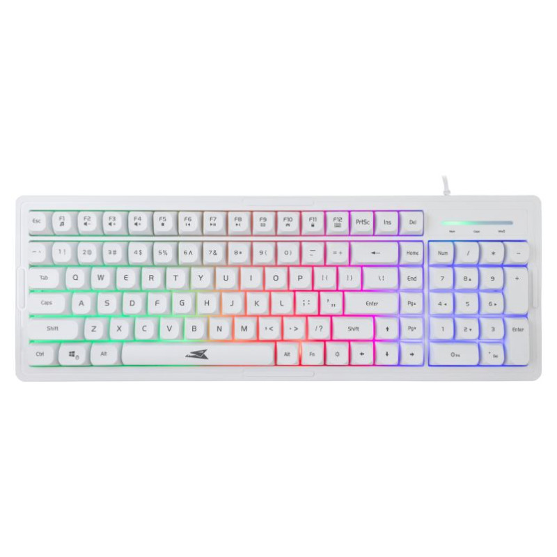 Baracuda BGC-012 Orca White Combo