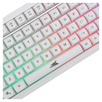 Baracuda BGC-012 Orca White Combo