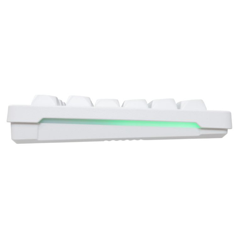 Baracuda BGC-012 Orca White Combo