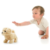 Pugs At Play Staigājošs suns "Goldie"