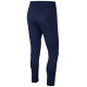 Nike Dry Park 20 Jr BV6902-451 pants (140 cm)