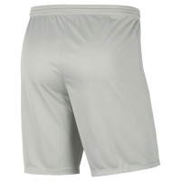 Nike Dry Park III M BV6855-017 shorts (L)