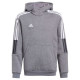 Adidas Tiro 21 Sweat Hoody Jr GP8803 (116cm)