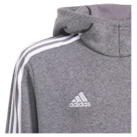 Adidas Tiro 21 Sweat Hoody Jr GP8803 (116cm)