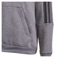 Adidas Tiro 21 Sweat Hoody Jr GP8803 (116cm)