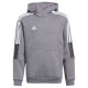 Adidas Tiro 21 Sweat Hoody Jr GP8803 (116cm)