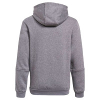 Adidas Tiro 21 Sweat Hoody Jr GP8803 (116cm)