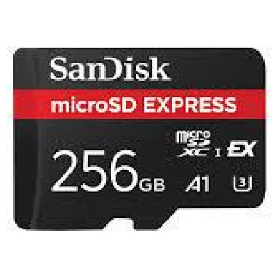 Sandisk Express microSD Card, 256GB