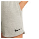 Nike Park 20 Short W CW6963-063 (XS)