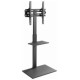 Gembird TV stiprinājums Gembird 32" - 55" TV floor stand