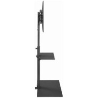 Gembird TV stiprinājums Gembird 32" - 55" TV floor stand