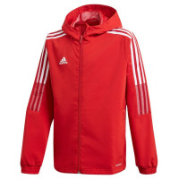 Adidas Jacket adidas Tiro 21 Windbreaker Jr GP4976 (164cm)