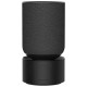 Bang & Olufsen Beosound Balance Black Oak