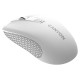 Canyon MW-7, 2.4Ghz wireless mouse, 6 buttons, DPI 800/1200/1600, with 1 AA battery ,size 110*60*37mm,58g,white