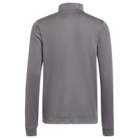 Adidas Sweatshirt adidas Entrada 22 Training Top Jr H57549 (176cm)