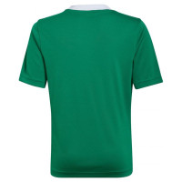 Adidas T-shirt adidas Entrada 22 Jersey Jr HI2126 (116 cm)