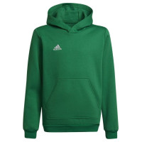 Adidas Sweatshirt adidas Entrada 22 Hoody Y Jr HI2143 (176 cm)