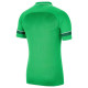 Nike Dri-FIT Academy 21 Polo SS Jr CW6106 362 T-shirt (XS)