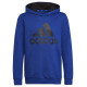 Adidas Sweatshirt adidas Big Logo Essentials Hoody Jr HN1912 (128 cm)