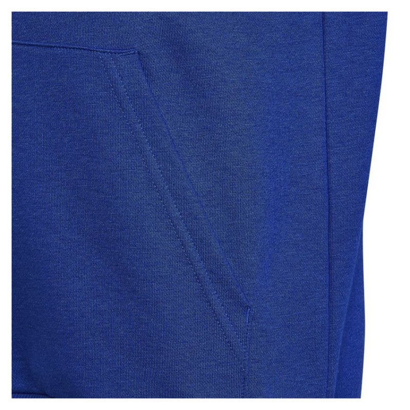 Adidas Sweatshirt adidas Big Logo Essentials Hoody Jr HN1912 (128 cm)