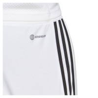Adidas Shorts adidas Tiro 23 League M IB8083 (S)