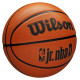 Wilson Basketball ball Wilson Jr NBA Fam Logo WZ3013001XB6 (6)