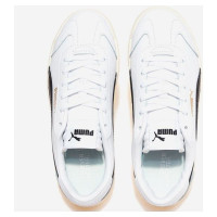 Puma Club 5v5 M 38940603 shoes (40)