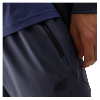 4F FNK M351 M pants 4FAW23TFTRM351 23S (S)