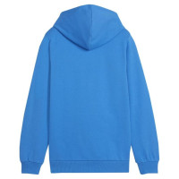 Puma Team Goal Casuals Hoddy Jr sweatshirt 658619 02 (128cm)