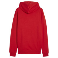Puma Team Goal Casuals Hoody M 658618 01 (L)