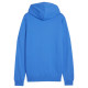 Puma Team Goal Casuals Hoody M 658618 02 (M)