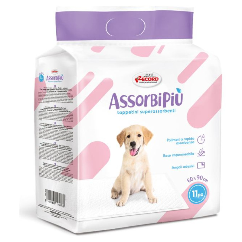 Record Paladziņ&scaron; AssorbiPiu 60x90cm 11gb.