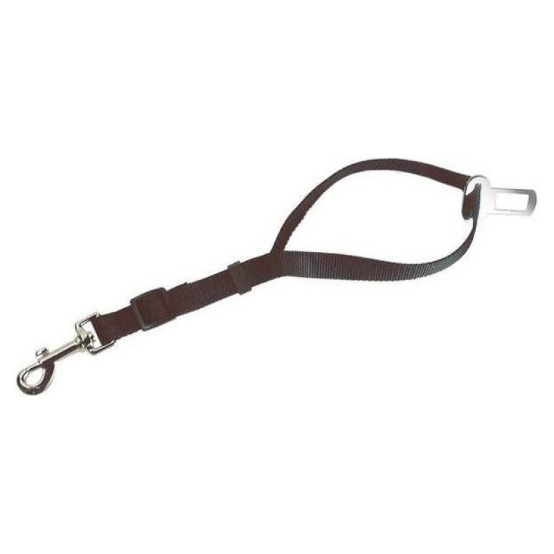 Record Auto dro&scaron;ibas josta suņiem