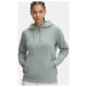 Under Armour Under Armor Rival Fleece Hoodie W 1379500348 (m)