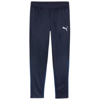 Puma Team Goal Training Pants M 658639 06 (L)