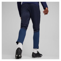 Puma Team Goal Training Pants M 658639 06 (L)