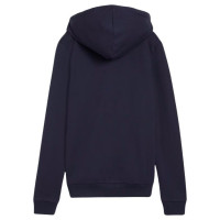 Puma Team Goal Casuals Hooded Sweatshirt W 658597 06 (L)