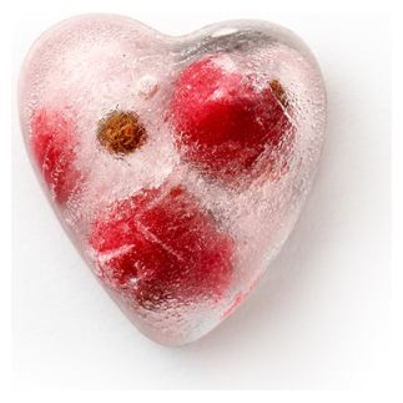 Brabantia LEKUE ledus kubiņu veidne sirds formas ar vāku, red - 882326