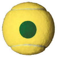 Wilson Starter Play Green Junior tennis balls (4 pcs)