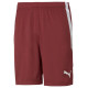 Puma teamLIGA M 704924 09 shorts (2 XL)