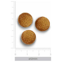 Trovet Plus Dog Adult Hypoallergenic Vegetable Only 10 kg